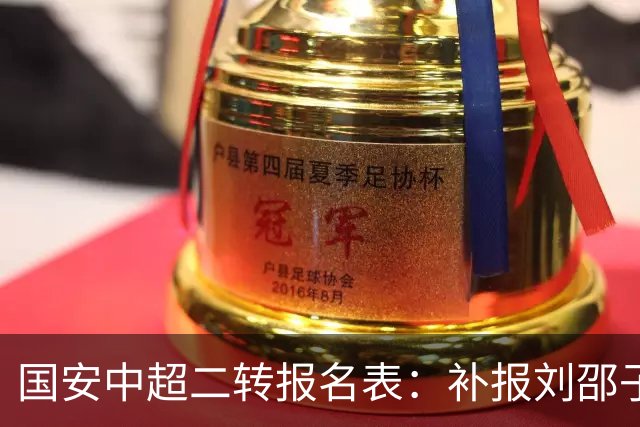 国安中超二转报名表：补报刘邵子洋、斯帕吉奇等人，撤销恩科洛洛