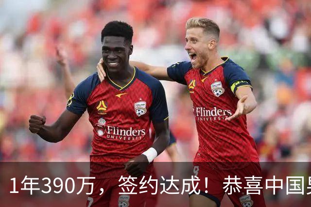 1年390万，签约达成！恭喜中国男篮，“最强大腿”正式加盟猛龙