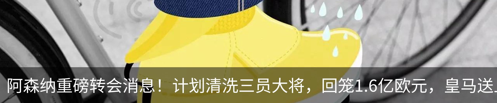 资讯动态