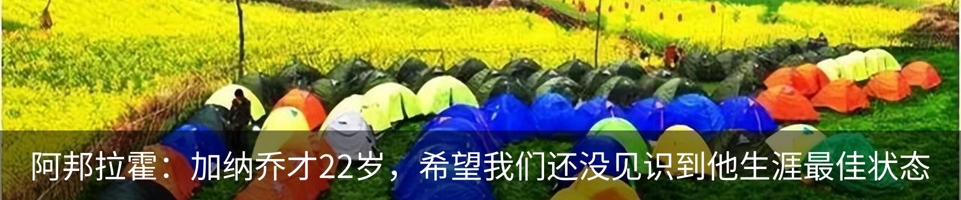 资讯动态